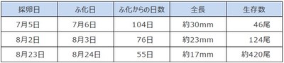 令和5年（2023年）10月18日時点の計測結果