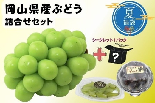 【福袋】岡山県産ぶどう詰合せセット(全4品)