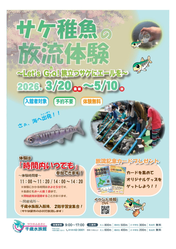 千歳川で「サケの稚魚放流」が3/20解禁！
