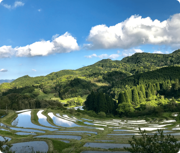 大山千枚田保存会