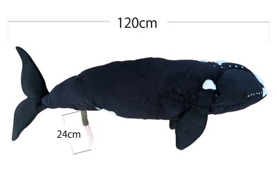 スペシャルチケット セミクジラBIGぬいぐるみ