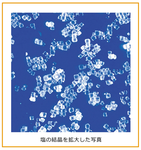 【解説】