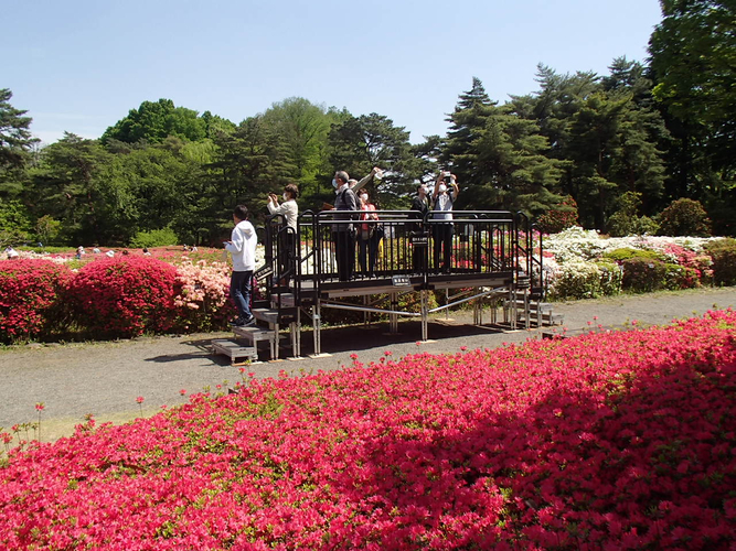 つつじ園見晴らし台（過去の様子）