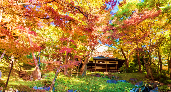 過去の紅葉の様子(紅葉亭)