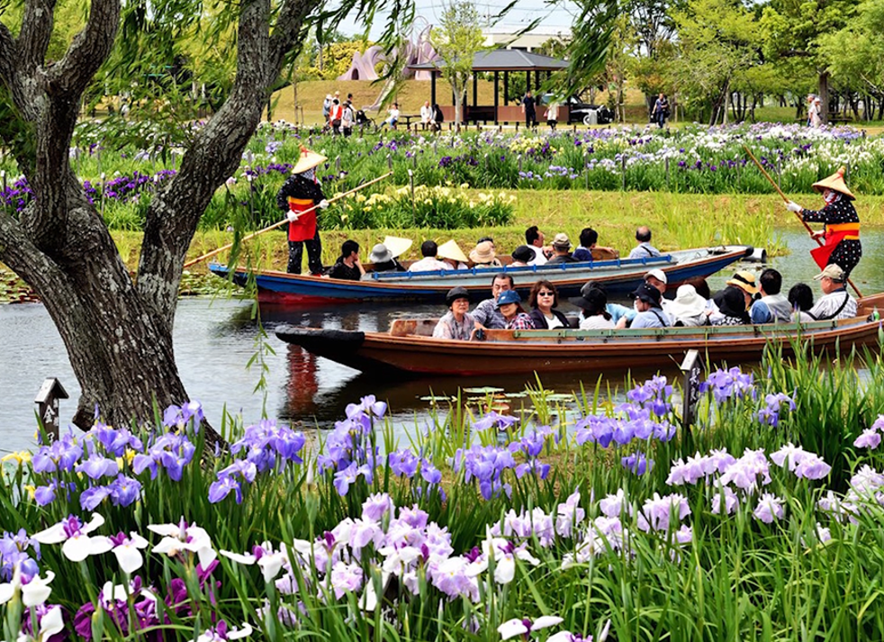 水郷佐原あやめパーク