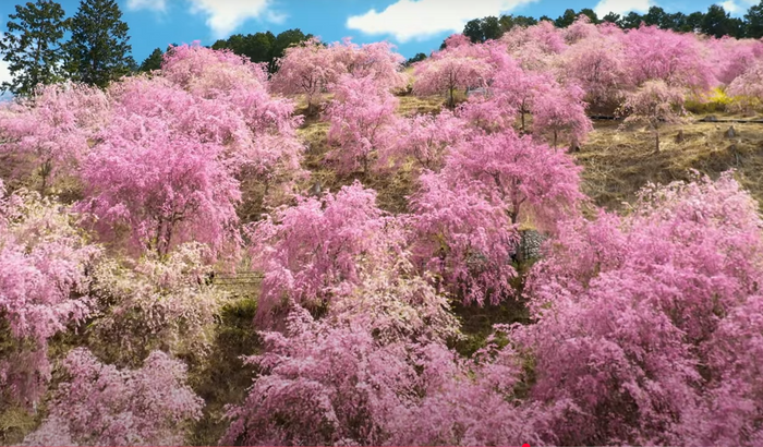 ＊高見の郷・イメージ