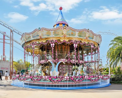 「ローズメリーゴーラウンド」 イメージ