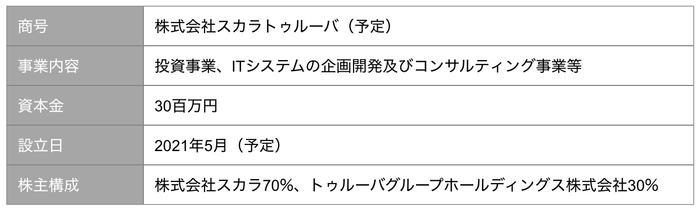 【表】合弁会社の概要