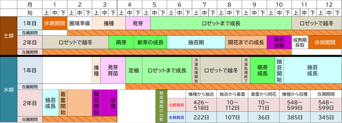 図3：水耕栽培と土耕栽培の栽培歴および栽培期間の比較
