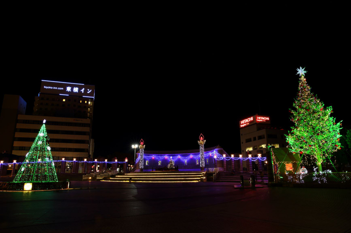 第14回（2013年）は、メインツリーをモミの木と金属フレーム製のよくばり2本立てにしました。