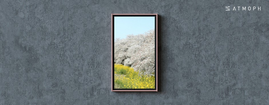 熊谷桜堤
