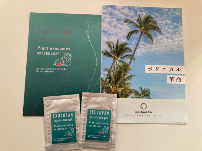 今回配布したサンプル