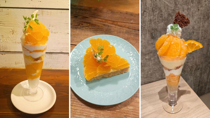 左から鹿児島県大将季のソフトクリームパフェ 1,419円 、鹿児島県産大将季のタルト 869円（みのりカフェ福岡パルコ）、鹿児島県産大将季とレアチーズ風パフェ 1,496円 （みのりカフェアミュプラザ博多）