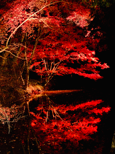 松平東照宮(お堀)