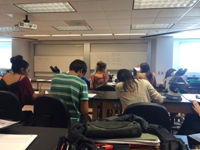アメリカの大学の授業風景