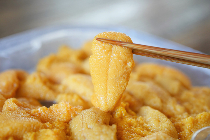 ※写真はイメージです