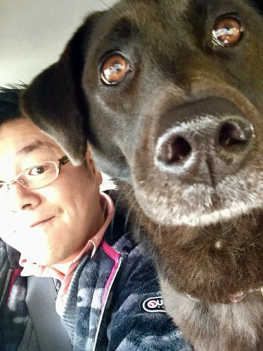 ペットロスを癒す「メモリアル動画」