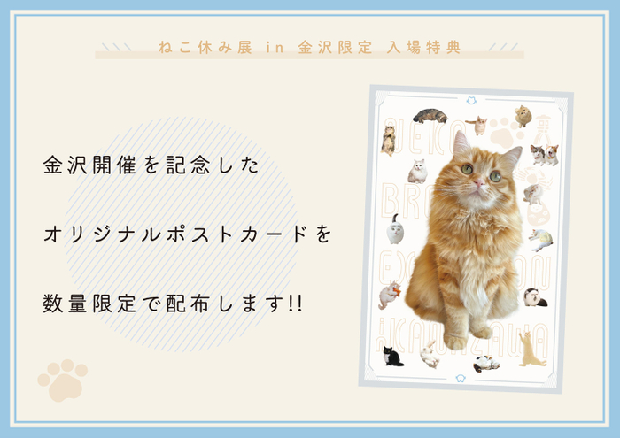 オリジナルポストカードをプレゼント!