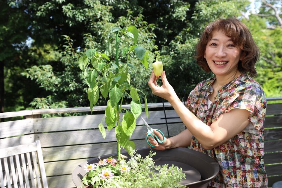 POTAGESTで育てた野菜の収穫(深町貴子氏)