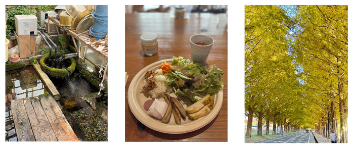 （左）針江地区に残る昔ながらの水の循環システム 「かばた」を見学（中）鮒寿司に代表される醗酵文化が根付く近江地方でいただ＜醗酵料理（右）日本屈指のマキノ ・ メタセコイヤ並木