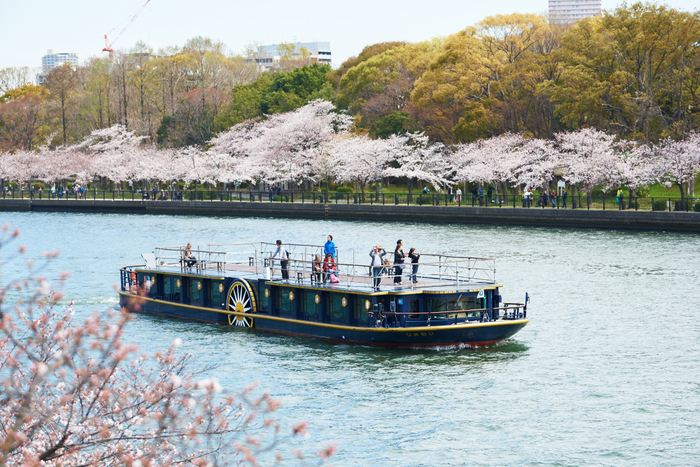 ひまわり さくらスペシャルクルーズ