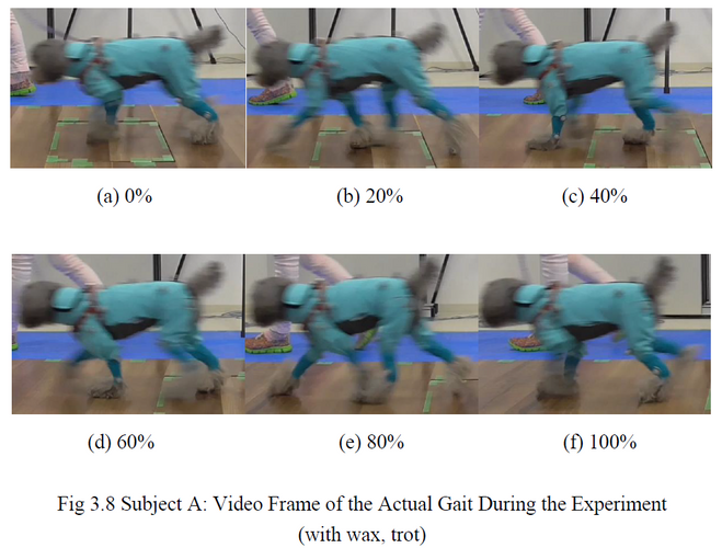 実験中の歩行(ビデオフレーム)
