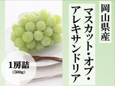 マスカット・オブ・アレキサンドリア_岡山
