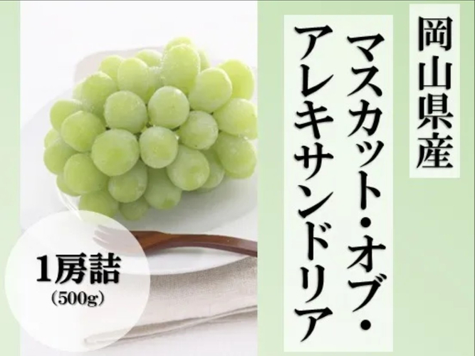 マスカット・オブ･アレキサンドリア_岡山