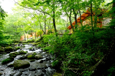 渓流「小阿寺沢」が眼前に流れる、大自然に解け込むような「川の湯」