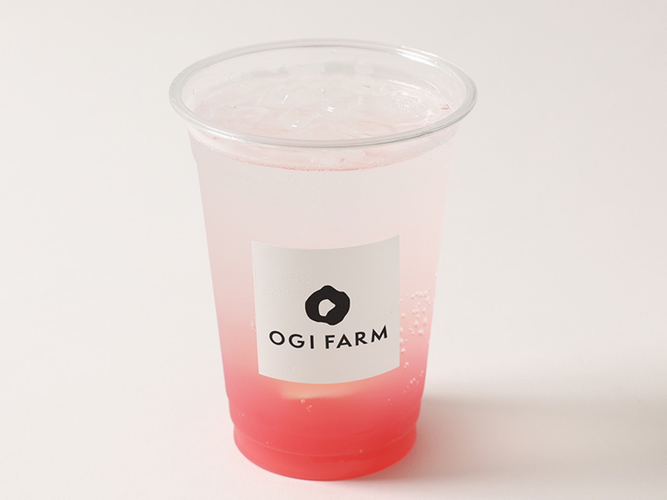 岩下の新生姜ピンクジンジャー