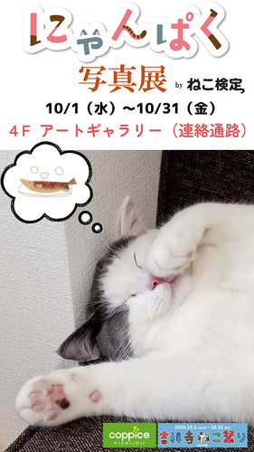 にゃんぱく写真展byねこ検定