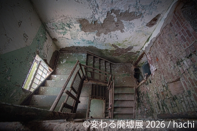 展示作品:hachi