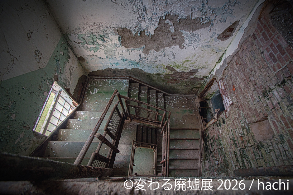 展示作品:hachi