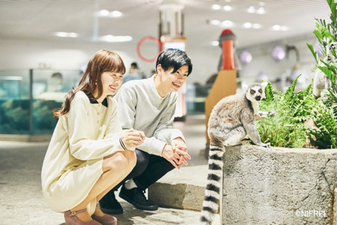 「ニフレル」施設イメージ