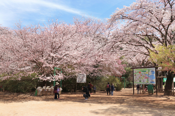 フィールドアスレチック