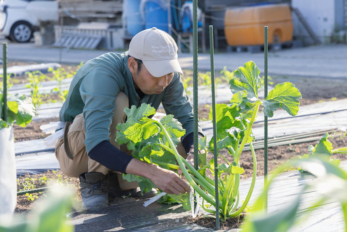 自社農場の原料を一部使用