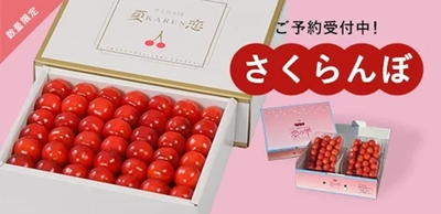 岩手県産さくらんぼ佐藤錦と紅秀峰の「夏恋(かれん)」と「恋の雫」を産地直送通販サイト「ＪＡタウン」のショップ「いわて純情セレクト」で期間限定販売！