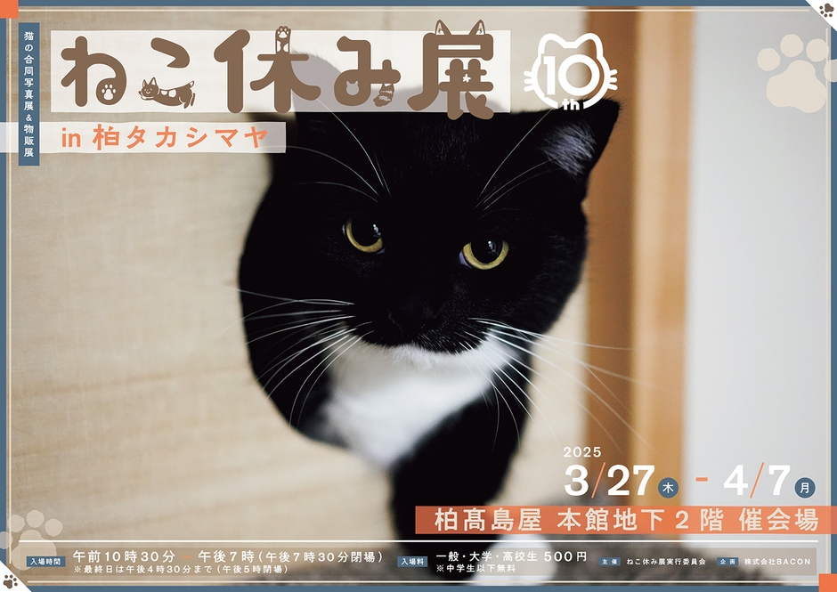 キービジュアル(横)