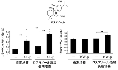 図3