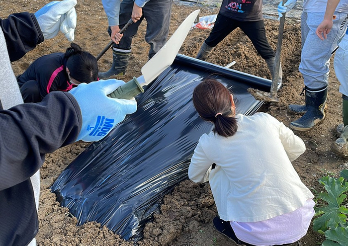 【ココトモワークス】