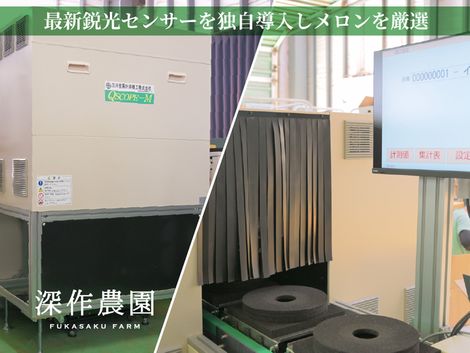 最新鋭の光センサーを独自導入しメロンを厳選しています