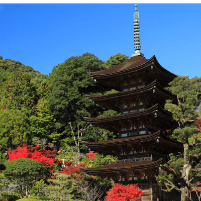 ポイント1 国宝瑠璃光寺五重塔(山口市)
