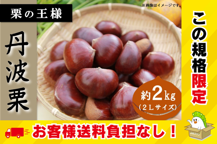 丹波栗_お客様送料負担なし(2L・2kg)