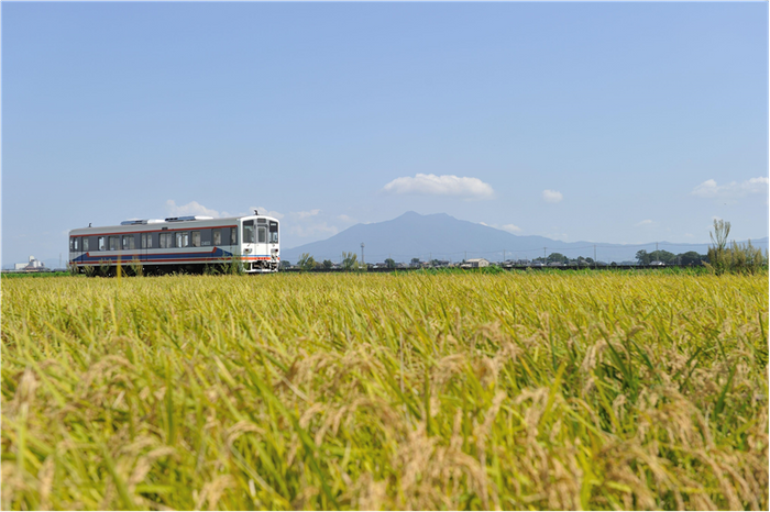 下妻市の田園を走る関東鉄道常総線