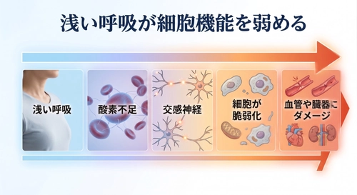 睡眠中に起きている健康リスク──医学がまだとらえきれていない“社会問題”である
