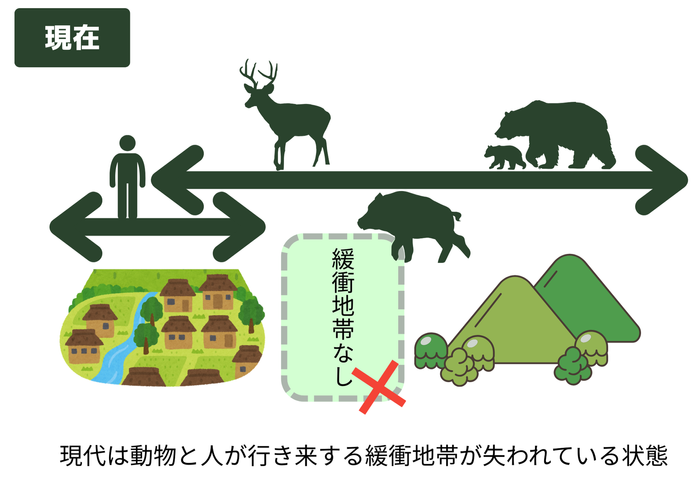 緩衝地帯がない状態で動物が降りてきやすい
