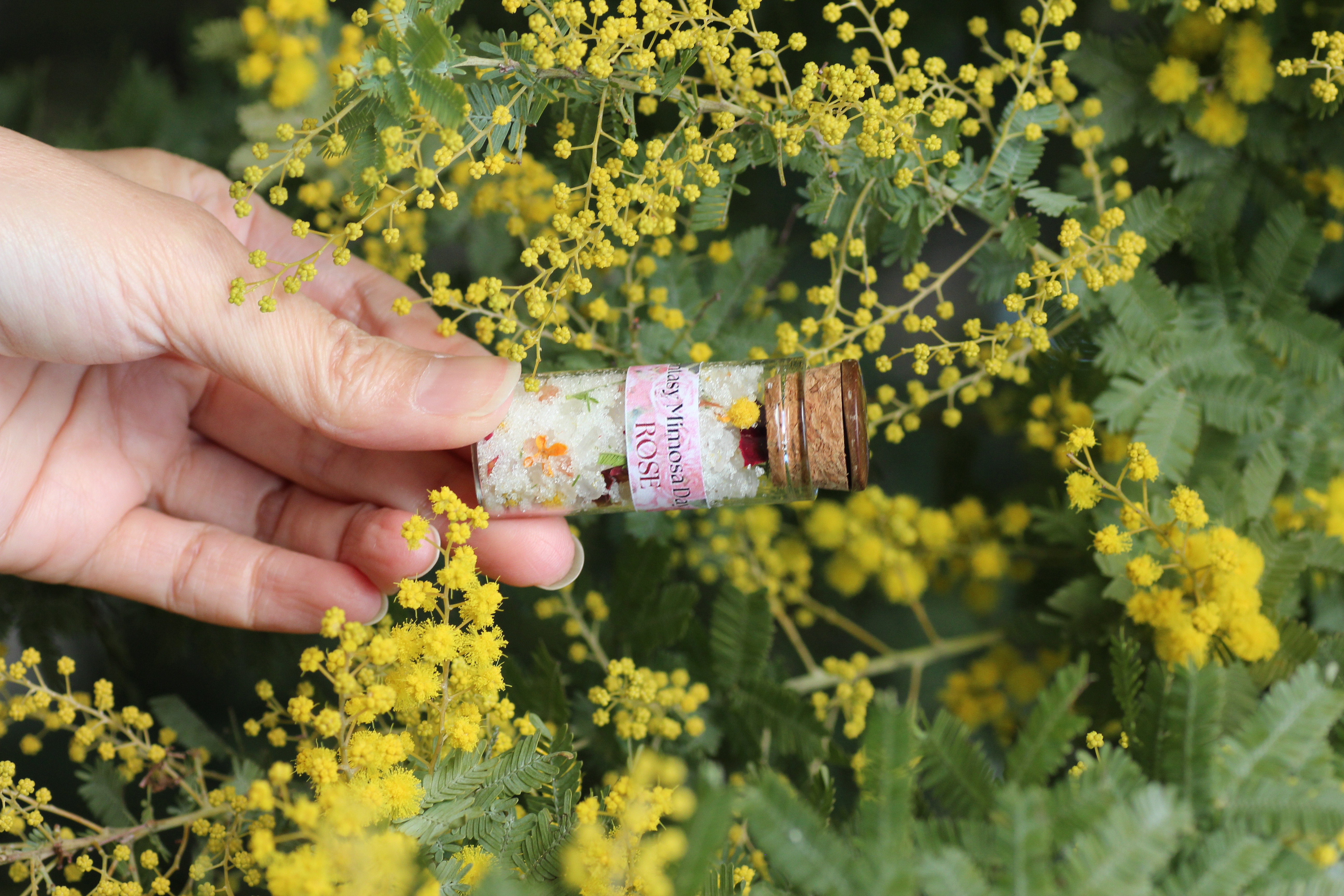 モイストポプリ