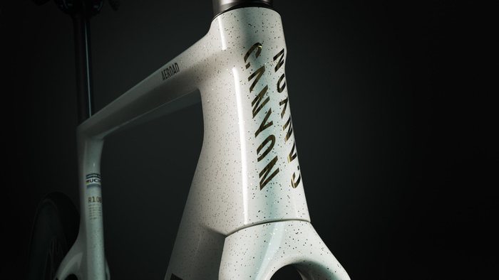 MyCanyon「ゴールドダスト」は金粉を散らしたかのような華やかなアートワーク