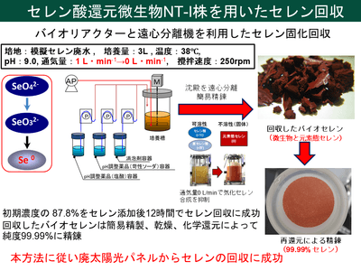 図2. 廃太陽光パネルからセレンを回収する一連の方法