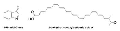 図1 これまで発色団と考えられてきた3-H-indol-3-one(左)と、今回新たに発色団であることが明らかになった2-dehydro-3-deoxylaetiporic acid A(右)